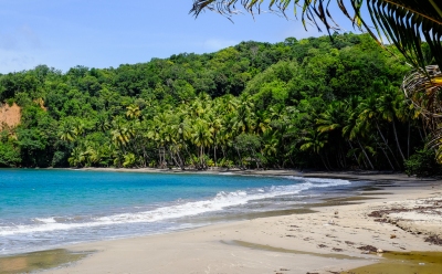 Batibou Beach, Dominica (Matthias Ripp)  [flickr.com]  CC BY 
License Information available under 'Proof of Image Sources'