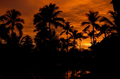 Brasil... sunrise. (M.J.Ambriola)  [flickr.com]  CC BY-SA 
License Information available under 'Proof of Image Sources'