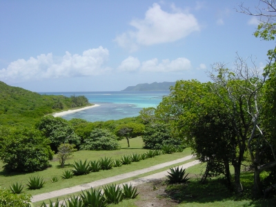 DSC06711, Petit St. Vincent (PSV), Winward Island, The Grenadines, Caribbean (Lyn Gateley)  [flickr.com]  CC BY 
License Information available under 'Proof of Image Sources'