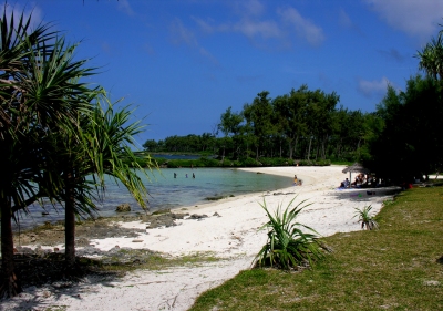 Eton Beach, Efate, Vanuatu, 4 June 2006 (Phillip Capper)  [flickr.com]  CC BY 
License Information available under 'Proof of Image Sources'