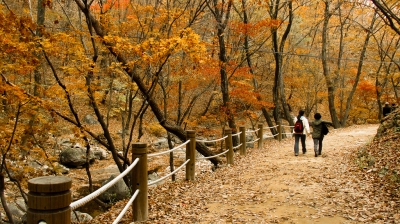 Fall, Korea (PlaneMad)  [flickr.com]  CC BY-SA 
License Information available under 'Proof of Image Sources'