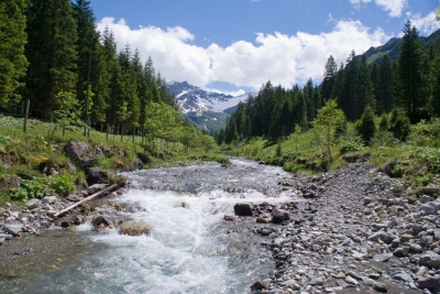 Mountain stream (Clemens v. Vogelsang)  [flickr.com]  CC BY 
License Information available under 'Proof of Image Sources'