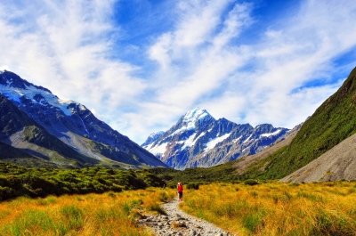 Mt.Cook (lwtt93)  [flickr.com]  CC BY 
License Information available under 'Proof of Image Sources'