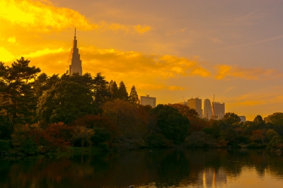 NTT Docomo Yoyogi Building and Shinjuku Skyscraper (Yoshikazu TAKADA)  [flickr.com]  CC BY 
License Information available under 'Proof of Image Sources'