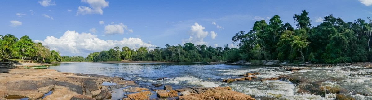 Panoramic view of the Suriname river near Gunsi (-JvL-)  [flickr.com]  CC BY 
License Information available under 'Proof of Image Sources'