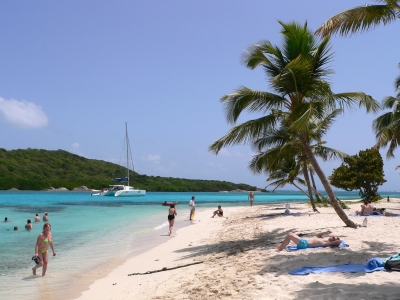 The Beach at Tobago Cays (Lee Coursey)  [flickr.com]  CC BY 
License Information available under 'Proof of Image Sources'